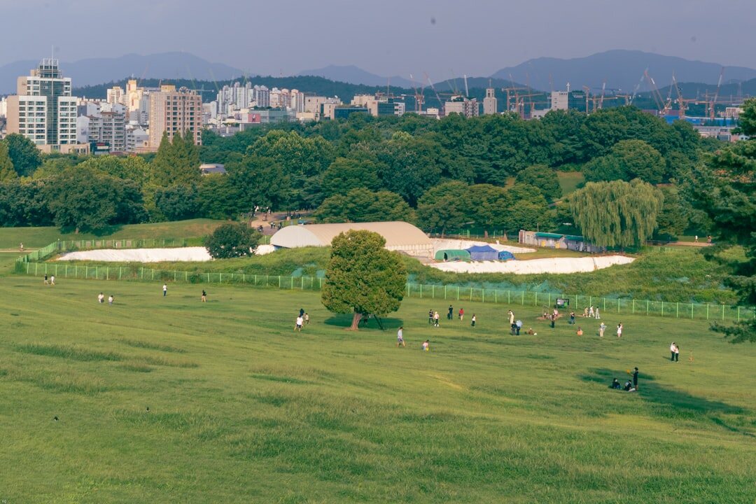city park with trees